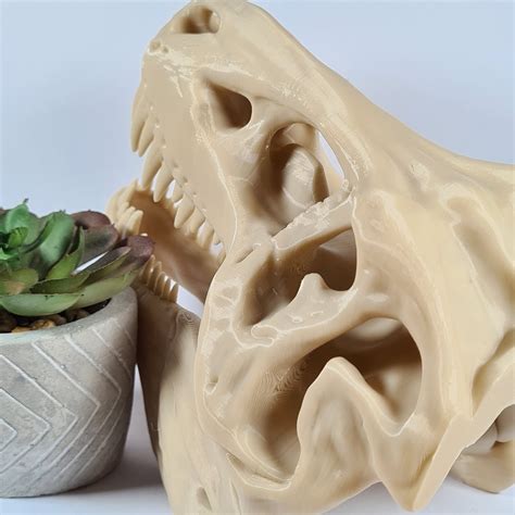 T Rex Tyrannosaurus Rex Dinosaur Skull 3D Printed Skull Replicas Shelf