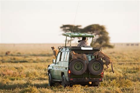 Masai Mara Safari de 4 días a la Gran Migración del Ñu GetYourGuide