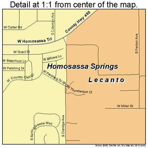 Homosassa Springs Florida Street Map 1232400