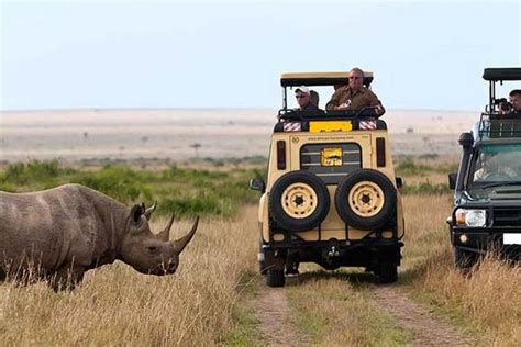 3 Day Masai Mara Private Flying Safari With 4x4 Game Drives