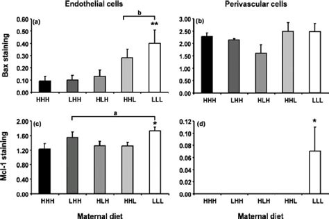 Effects Of Maternal Undernutrition On Bax And Mcl 1 In The Vasculature