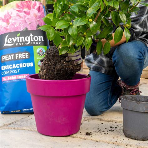 Levington Peat Free Ericaceous Compost With Added John Innes 25 Litres