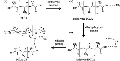 Reaction Scheme Of Chitosan Grafting Schematic Drawing Of Surface Download Scientific Diagram