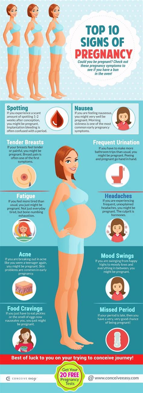 Top 10 Signs Of Pregnancy Infographic Pregnancy Early Pregnancy