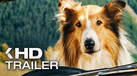 LASSIE Ein Neues Abenteuer Trailer German Deutsch 2023 YouTube