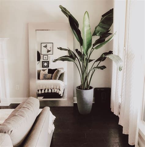 Top Interior Designs For Indoor Plants Examples