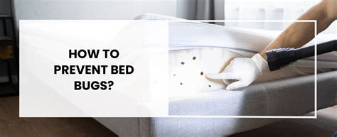 How to prevent bed bugs? - Bed Bug 911