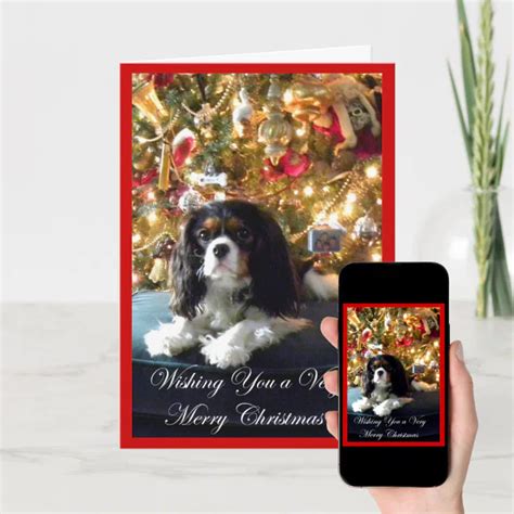 Cavalier King Charles Spaniel Christmas Card Zazzle