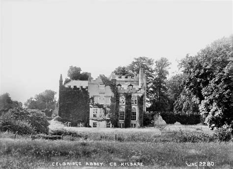 Celbridge Abbey, Co. Kildare a view of an occupied ivy