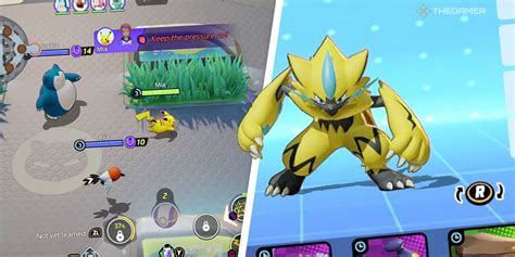 Best Build For Zeraora Pokemon Unite Sunrisefert