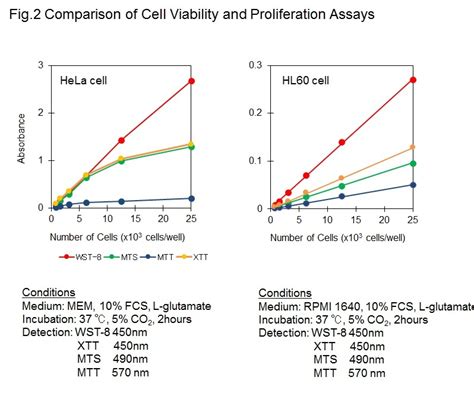 Mtt Cell Proliferation Viability And Toxicity Assay Kit Cyto M Part No Mtt 1200