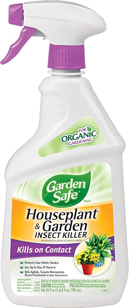 Organic Insecticide For Indoor Plants Pest Phobia