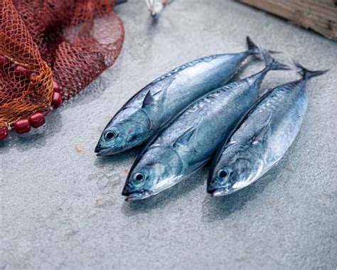 Cómo diferenciar pescado azul y blanco Del Barco a la Mesa