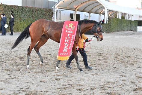 あんかー on Twitter RT nar keiba TCK女王盃 1着はグランブリッジ本日大井競馬場で行われた第26回TCK