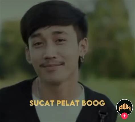 Lirik Sucat Pelay Boog Lagu Thailand Yang Sedang Viral Di TikTok Dan