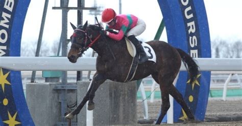 921 Wed 門別競馬12r（リリーカップ）限定予想｜ギャンブラー単勝馬券師｜note