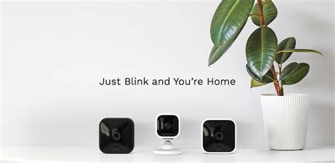 Blink Home Monitor App Review 2021 | Home security camera system — Appedus