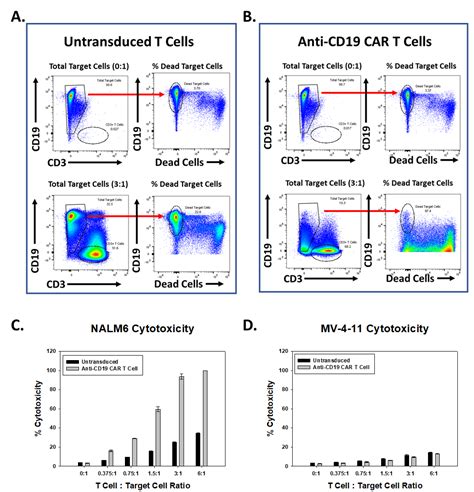 Labcorp Chimeric Antigen Receptor Car T Cell Generation Service