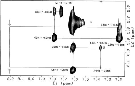 Sections Of The 2D NOESY Spectrum 500 MHz 303 K 99 996 D2O 10 MM