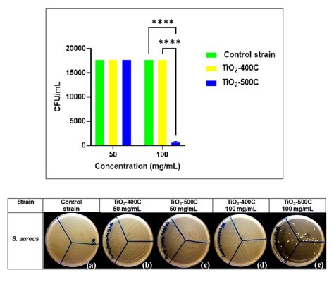 Number Of Colony Forming Units Per Milliliter Cfuml Of S Aureus Download Scientific Diagram