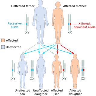 Differentiating between Genetic Disorders Caused by Chromosomal Changes ... 
