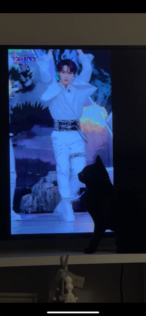 My Cat Enjoying Lee Knows Tiger Inside Fancam 🐈‍⬛😹 Rskzmedia