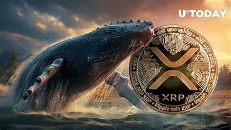 Millions Of Xrp Grabbed By Whales Is Xrp About To Take Off