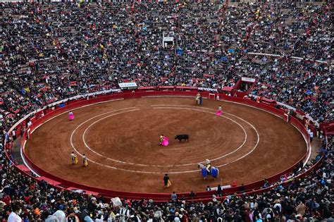 La Suprema Corte Autoriza Corridas De Toros En La Plaza México