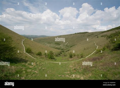 View Of Chalk Downland Landscape At Butser Hill In The South Downs