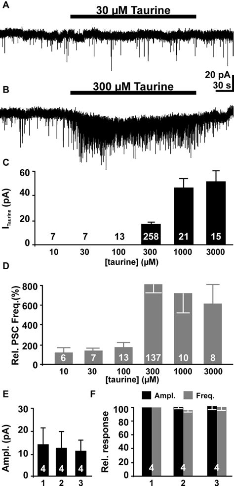 The Effect Of Bath Applied Taurine On Pyramidal Neurons A Whole Cell