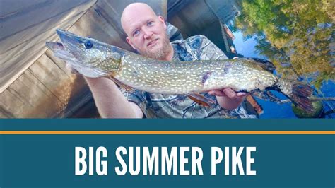 Mid Michigan Pike Fishing Big Summer Northern Pike Red Cedar River