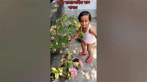 Terrace Garden ছাদে বাগান ভুটু দেখলো অনেক ফুল 😯😮👍🌷🌺🥀🌹💐🌳🍀🌼 Shorts