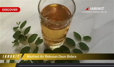 Banyak Yang Belum Tau Inilah Manfaat Air Rebusan Daun Bidara Yang