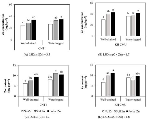 Sustainability Free Full Text Grain Zinc And Yield Responses Of Two Rice Varieties To Zinc