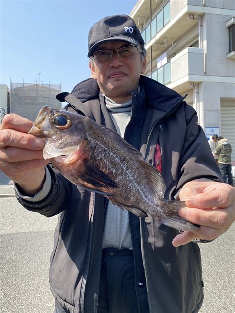 明石沖のメバル＆ガシラ釣り、ショウサイフグ釣り 名田屋 明石たこ釣り船・ブリ・メジロ・ヒラメのませ釣り船・タチウオ釣り船の釣果ブログ 明石港