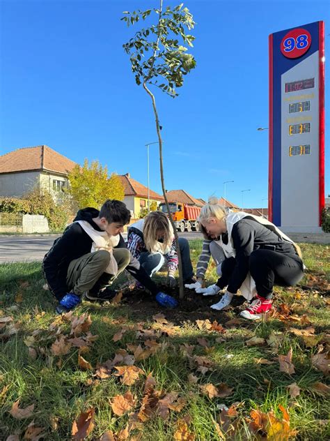 FOTO Făgărașul intră în rândul orașelor cu zone urbane împădurite