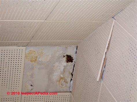 Asbestos Ceiling Tile Identification 6 Easy Steps