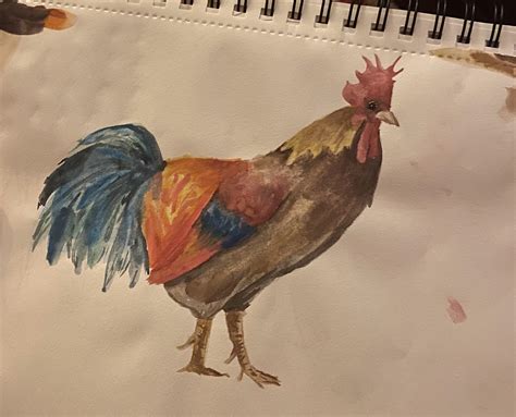 First time really trying with watercolors! Would love some advice moving forward! : r/watercolor101