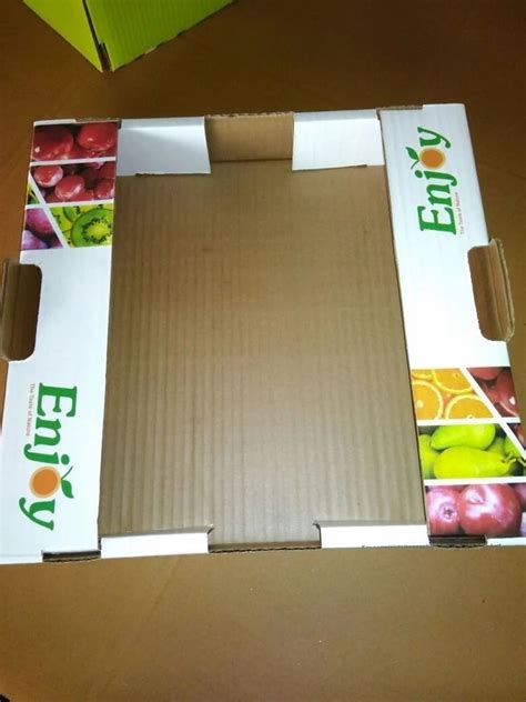 Corrugated Paper Single Wall Ply Tray Type Mix Fruit Open Packaging