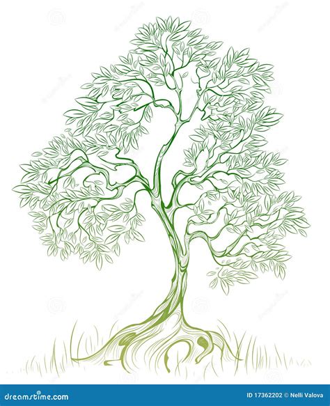 Green tree stock vector. Illustration of silhouette, plant - 17362202