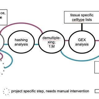 Overview Of The Workflow Implemented In Gexcite Starting From Raw Fastq