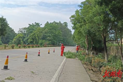 江华公路建设养护中心：修剪行道树枝 护人民群众安全 乡镇单位 新湖南