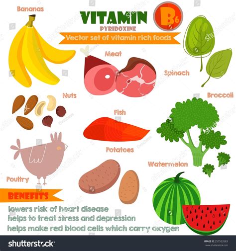 Vitaminas Y Alimentos Minerales Illustrator Set Vector De Stock Libre