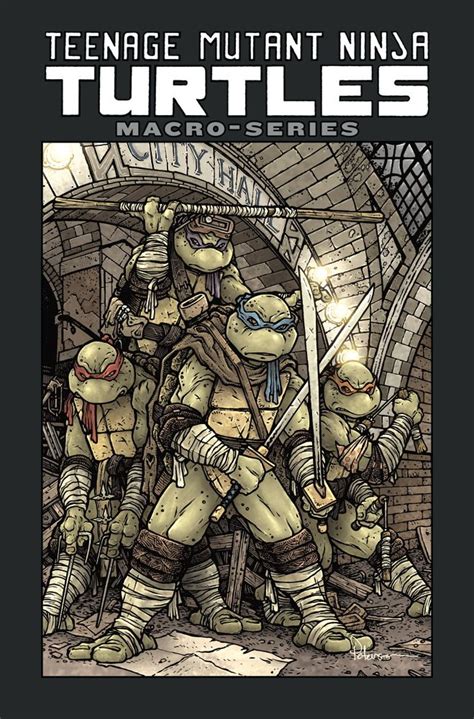 Pin By Kervin Massicott On I Am Rocket Raccoon Ninja Turtles Teenage