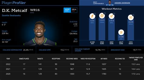 DK Metcalf Stats & Fantasy Ranking - PlayerProfiler