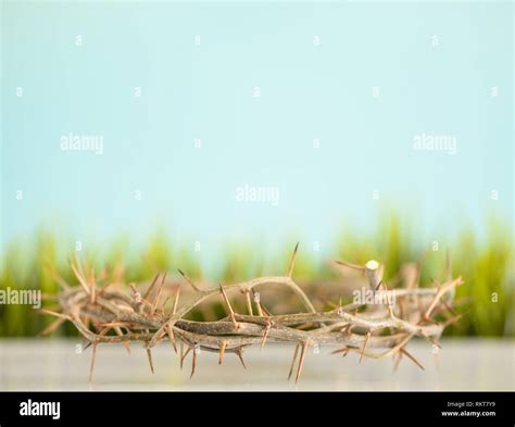 crown of thorns and grass easter background Stock Photo - Alamy