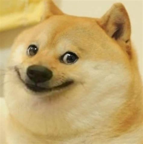 Someone requested for this doge meme template, here it is his name is "Jim" and also got a ...