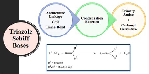 Synthesis Of Triazole Derived Schiff Bases Download Scientific Diagram