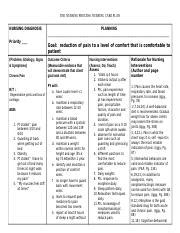 Nd Graded Careplan Chronic Pain Doc The Nursing Process Nursing