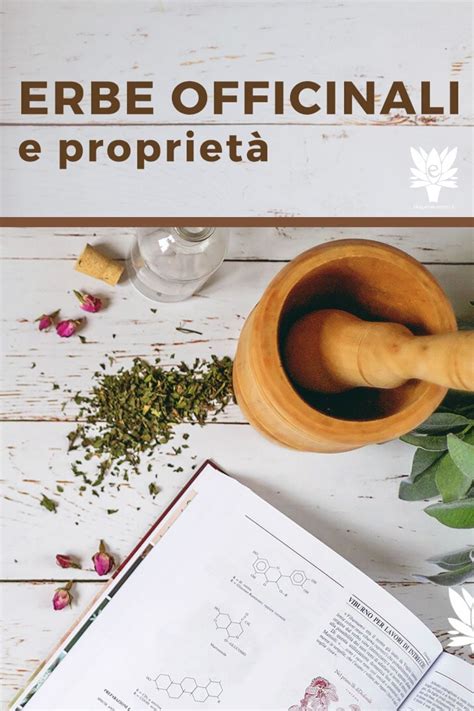 Elenco Delle Principali Erbe E Piante Officinali Medicinali E